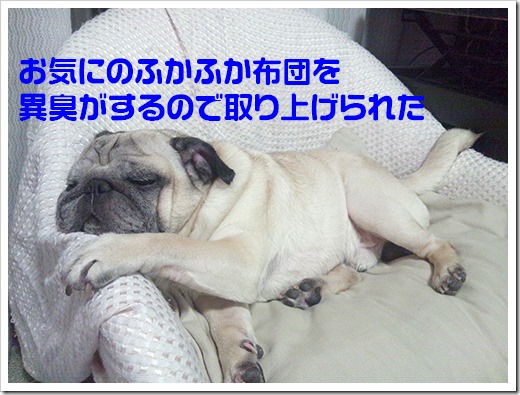 DSC_0274 DSC_0274