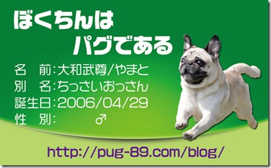 パターンB パターンB