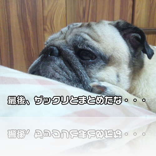 ぼくちんはパグである ぼくちんはパグである