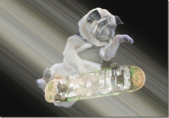 board-yamato board-yamato
